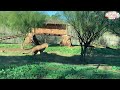 The largest zoo in Morocco