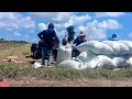 THE RICE HARVEST IN THE HOT DRY SEASON IS EXTRAORDINARY