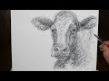 How to Draw a Cow Portrait Quickly | Cool Scribble Art Style with a Biro Pen