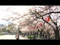 Sumida-ku, Tokyo - Camera test