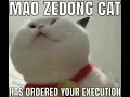 Mao Zedong Cat