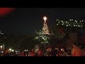 Winter garden 2023 Christmas tree lighting