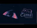 CARNAL (visualizer) - Peso Pluma, Natanael Cano