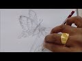 draw butterfly 2