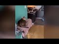 🤣 Funniest Cats and Dogs 🐶🐱 Funny Cats Videos 2024 🐶