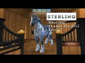 Star Stable Horses I Regret Buying! 🐴