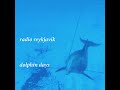 Radio Reykjavik - Dolphin Days EP