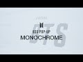 BTS (방탄소년단) BTS POP-UP : MONOCHROME Sketch