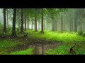 Rain Sound On Window with Thunder SoundsㅣHeavy Rain for Sleep, Study and Relaxation, Meditation