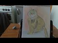 Cat Drawing