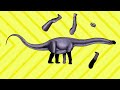 Dinosaur Puzzle game|공룡 퍼즐게임놀이|Tyrannosaurus,Brachiosaurus,Mosasaurus,Stegosaurus|공룡이름|dinosaur name