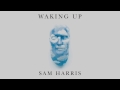Waking Up with Sam Harris - Looking for the Self (26 Minute Meditation)