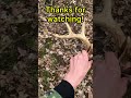 I Did Not Expect This…. (Shed Hunting)