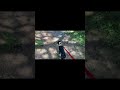 犬の散歩　in 馬見塚公園