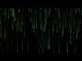Matrix Code Rain - 1 Hour Matrix Theme TV Screensaver and Live Wallpaper 4K
