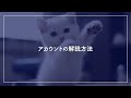 【在宅主婦OK】YouTubeの始め方と必要な機材について解説！