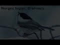 Norges Fugler: Granmeis