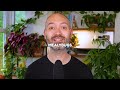 10 Years of Plant Advice in 11 Minutes