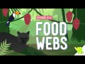 Food Chains Compilation: Crash Course Kids