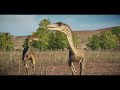All 114 Dinosaurs | Jurassic World Evolution 2 + ALL DLC