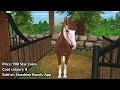 Top 10 Western Horses in Star Stable!