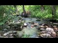 Un Lugar para bañarse (Presa de la Pinara La Adrada)Valle del Tietar