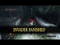 Dark Souls II: Scholar of the First Sin - Intelligence Part 4 - Shaded Woods