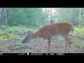 AUGUST 2023 GAME CAMERAS