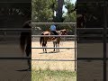 Gavin’s 1st Horseback Riding Lesson 1