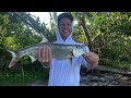 Snook mayhem!!! Backwater fishing on Sanibel Island for snook, jacks, and more!