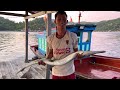BÌNH LẬP Bán Đảo Cam Ranh | Nghề Rớ Gặp Cá Nhái Đòn
