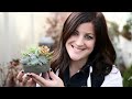 How to Make a Mini Fairy Garden (Full Version)