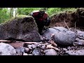 TRX4 Sport crawling the creek