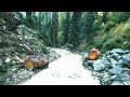 malam jabba today | Malam jabba valley swat | Malmjabba today latest update