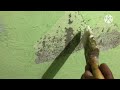 Wall water seepage leakage