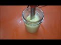 Easy Homemade Mayonnaise (Stick Blender)