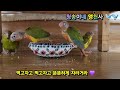 아기새에서 이제 어린이새가 되어가고 있어요(bird 🐦🐦)