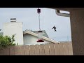 Annas Hummingbirds Feeder Squabble