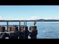 Edmonds to Kingston ferry