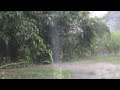 Rain Sound in the Forest is Effective for Insomnia - Best Sleeping White Noise Rain sounds