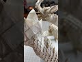 The Immortal Origami Dragon - Ryujin 3.5 [Satoshi Kamiya] 1 Uncut Square