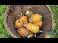 Harvesting pineapples for sale. During the day, bad guys stalk the farm to steal chickens.