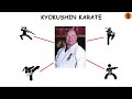 Every Martial Art Style Explained in 12 Minutes