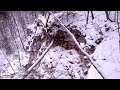 Lake, Forest, Quarry 4K Russia December 2021