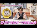 【100均】ダイソーで売れてる猫グッズがヤバすぎた…！ #ダイソー #猫グッズ #トリミング