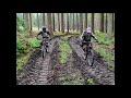 Waldzerstörung durch MTB trails