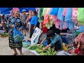 Hoang Van Hanh was visited by a kind girl at his house - Harvesting bananas, Hoàng Văn Hành