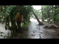 Heavy Rain and Terrible Lightning in a Remote Village | Thunderstorms Hit Village Life in Indonesia