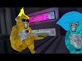 PBBV VS ECHO - Part 1 (Official Gorilla Tag Movie)