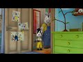 Zou in het Nederlands 🌱 NATUUR 🌻 40 min COMPILATIE | kinderen cartoon